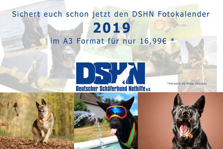 DSHN_Fotokalender2019