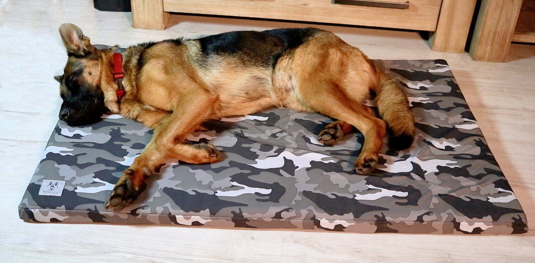hundematte_orthopadisch_Heidi