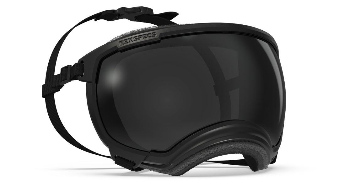 produktbild rex specs hundebrille in farbe schwarz mit dunkler scheibe