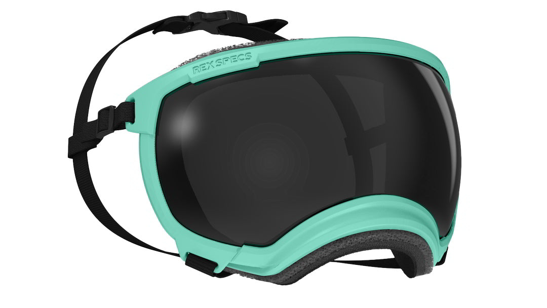 hundebrille, hersteller rex specs, farbe mint