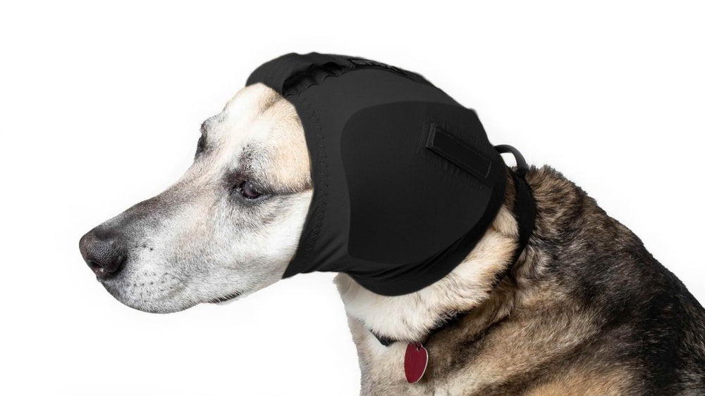 Hundegehörschutz Rex Specs Ear Pro