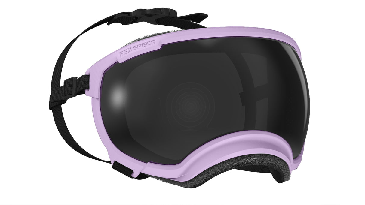 produktfoto rex specs hundebrille in farbe lavendel