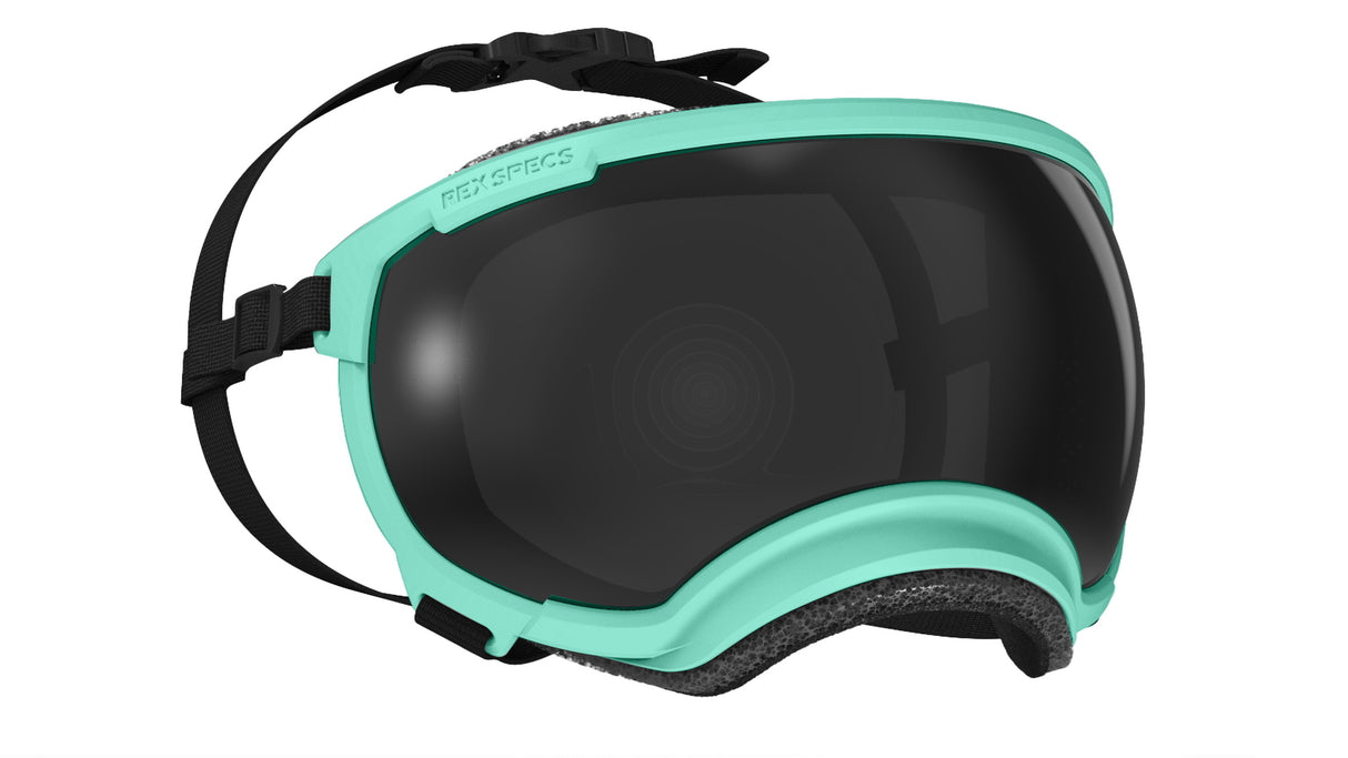 produktfoto rex specs hundebrille in farbe mint