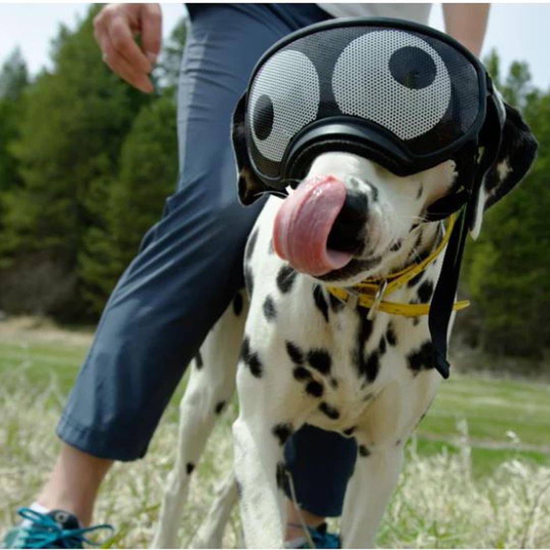 Rex Specs Lens Wraps V2