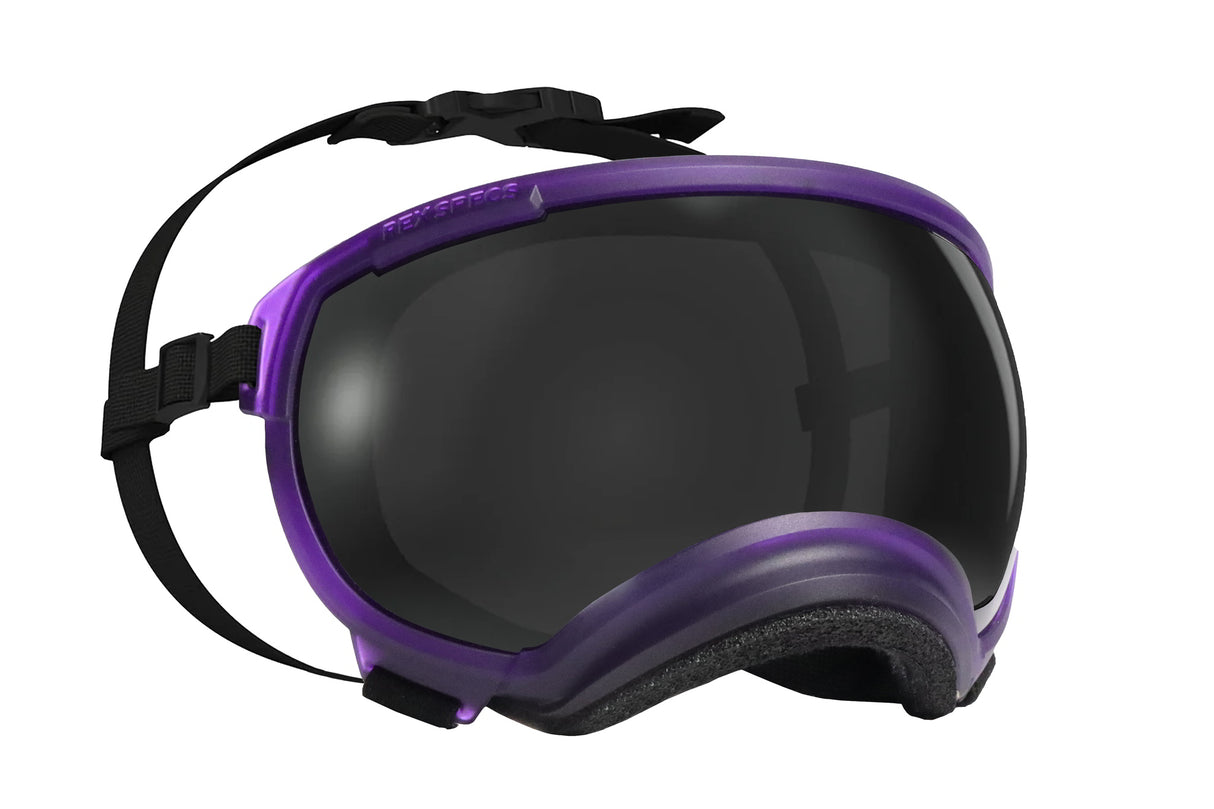 produktfoto rex specs hundebrille in farbe sonderedition riptide purple