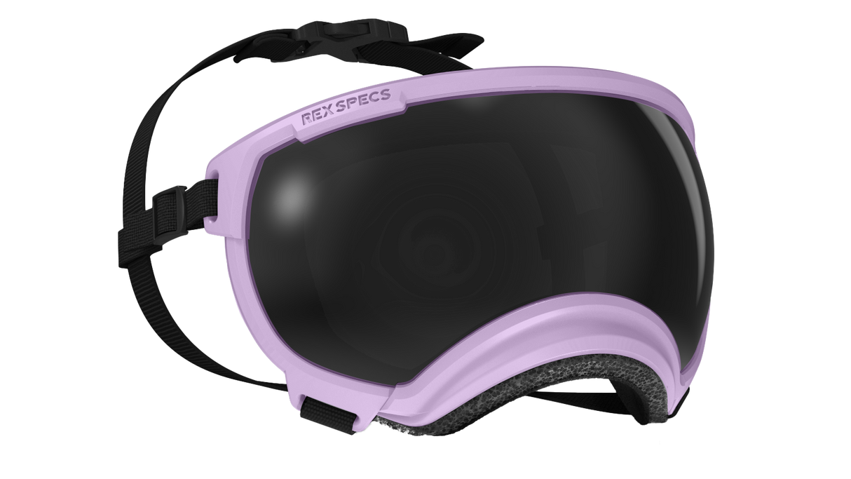 rex specs hundebrille farbe lavendel größe m