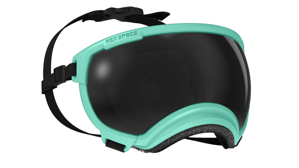 rex specs hundebrille größe m farbe mint