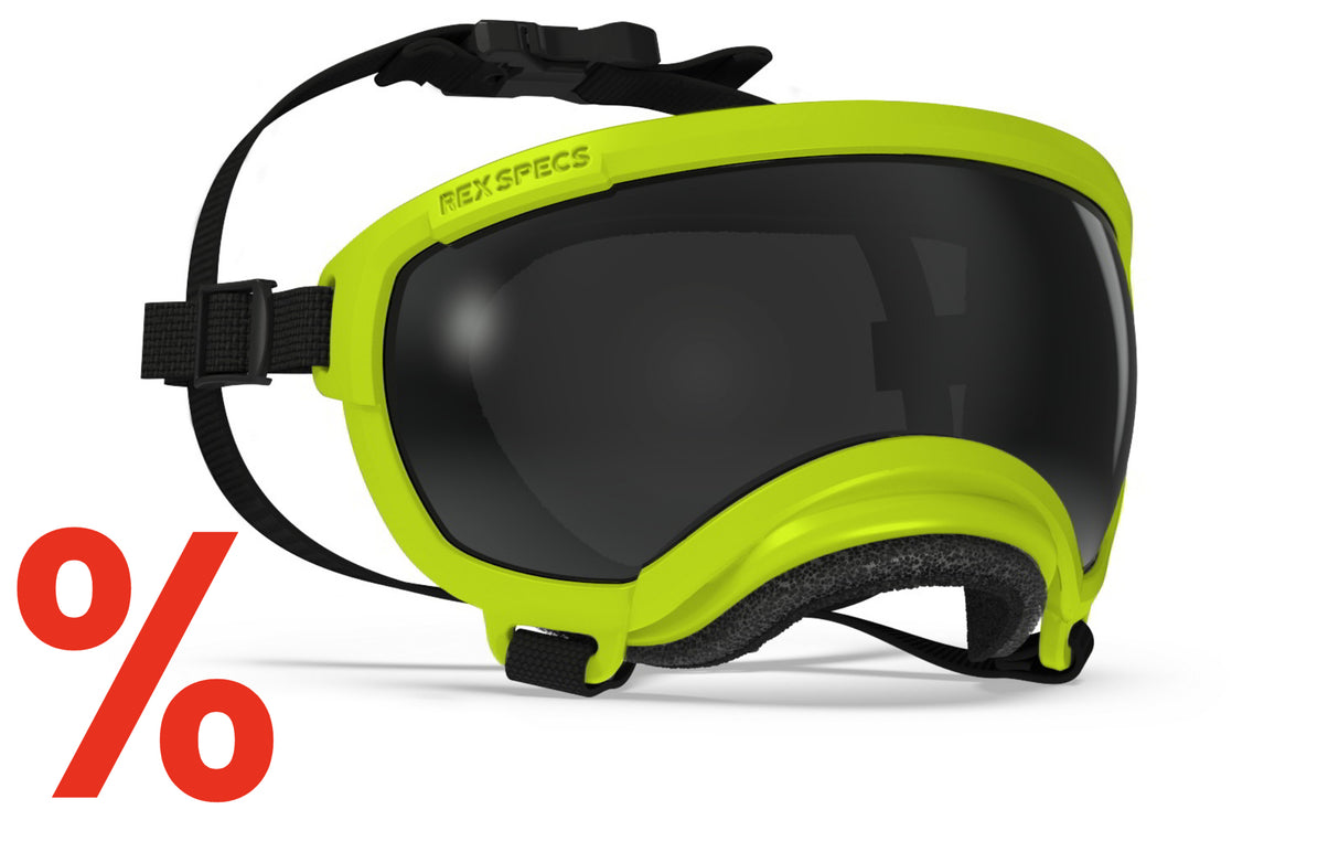 hundebrille in farbe gelb im angebot