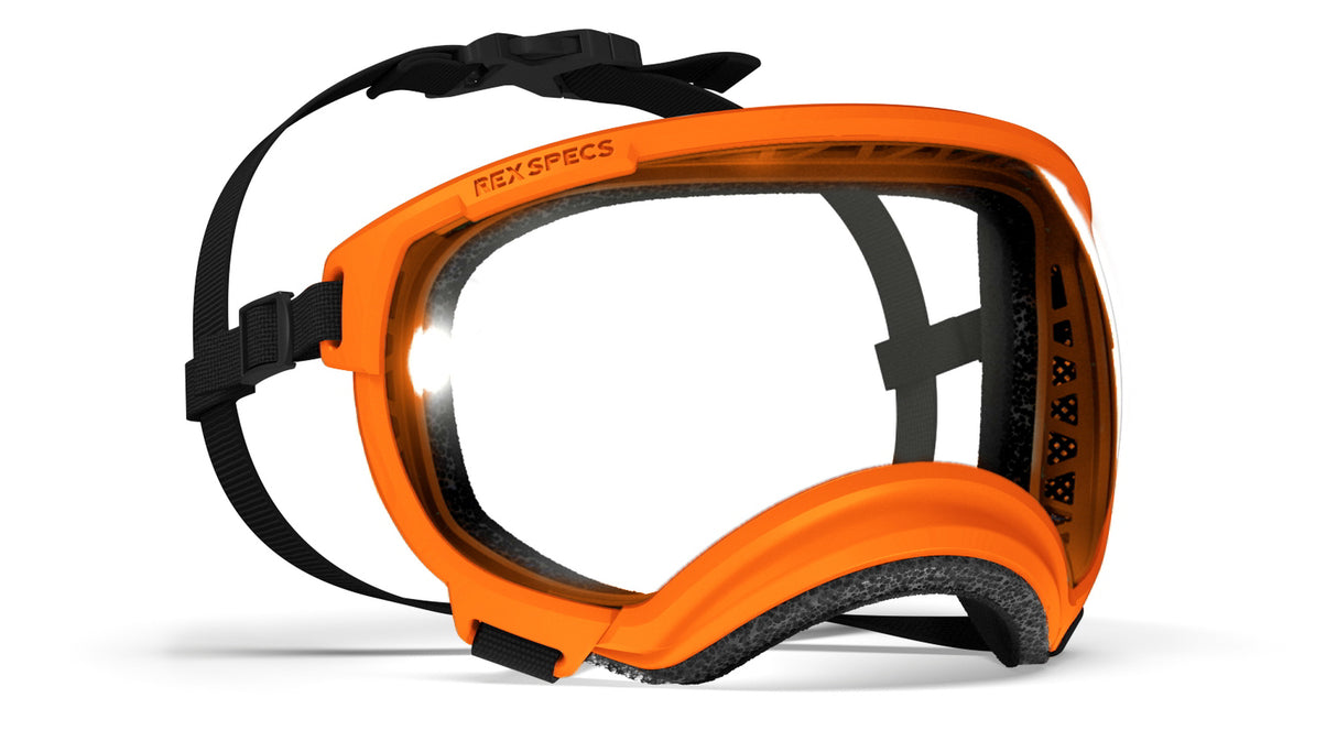produktfoto rex specs hundebrille in farbe orange
