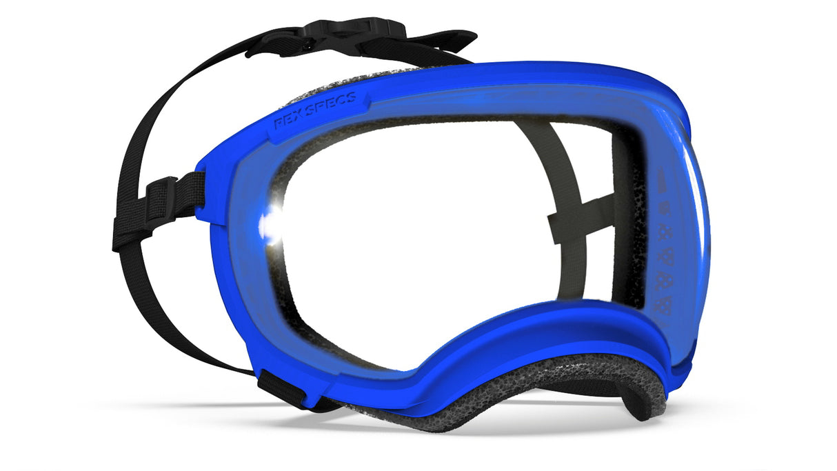 produktfoto rex specs hundebrille in farbe blau