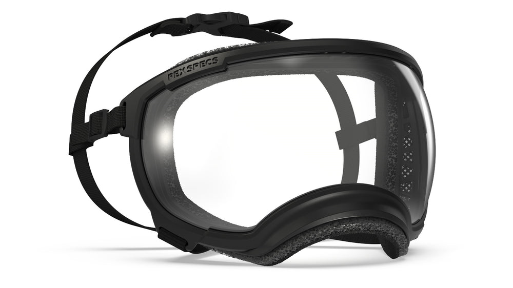 produktfoto rex specs hundebrille in farbe schwarz