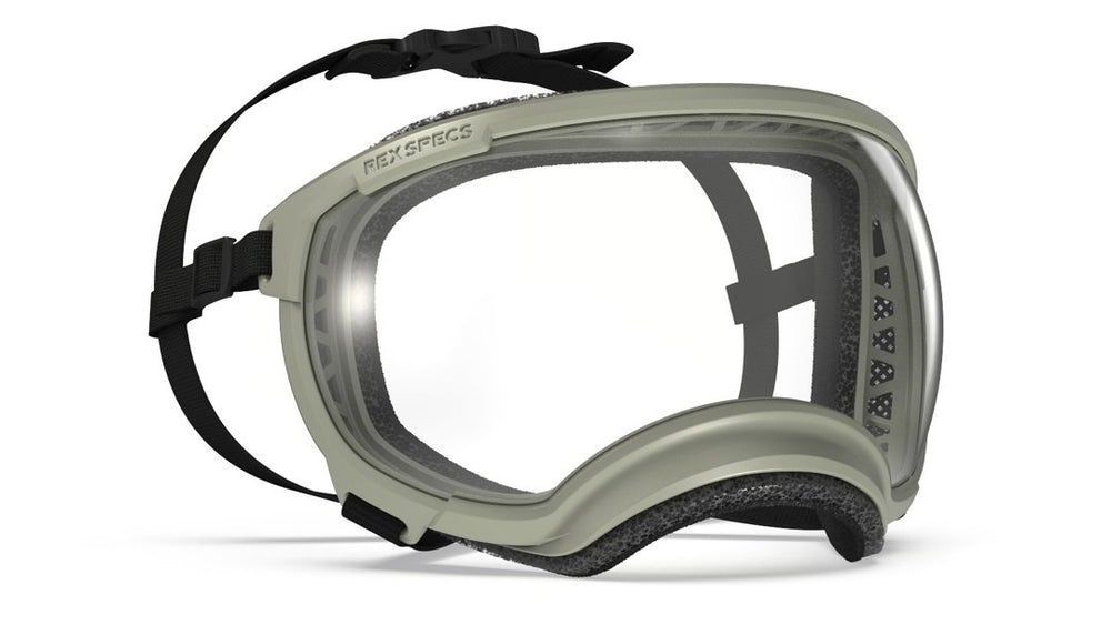 Rex Specs Vorführbrille V2