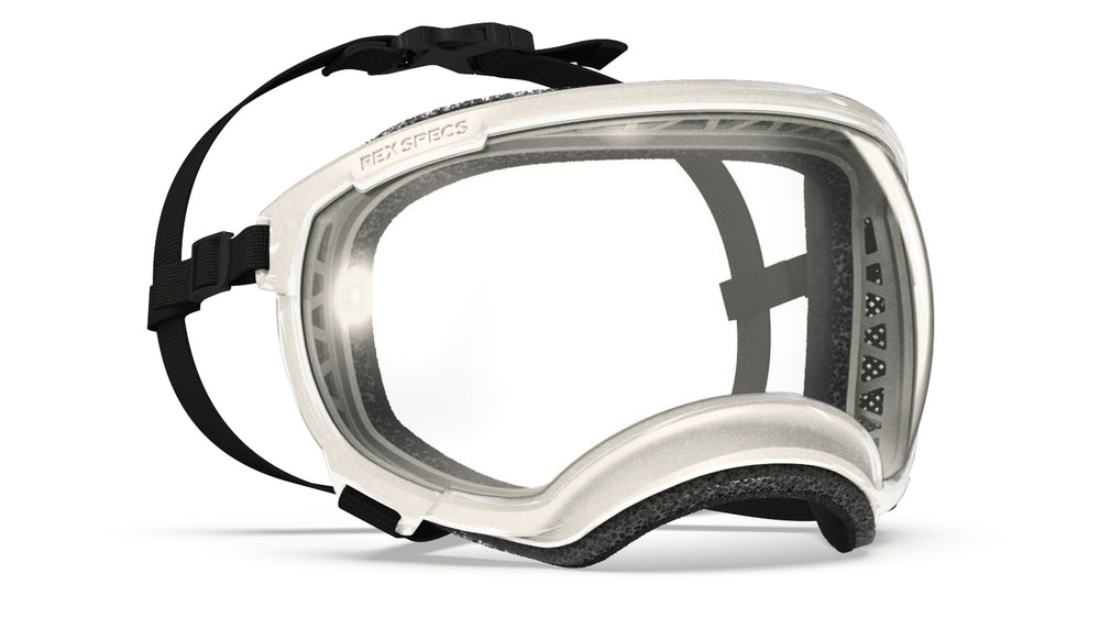 Hundebrille von rex specs in farbe weiß metallic