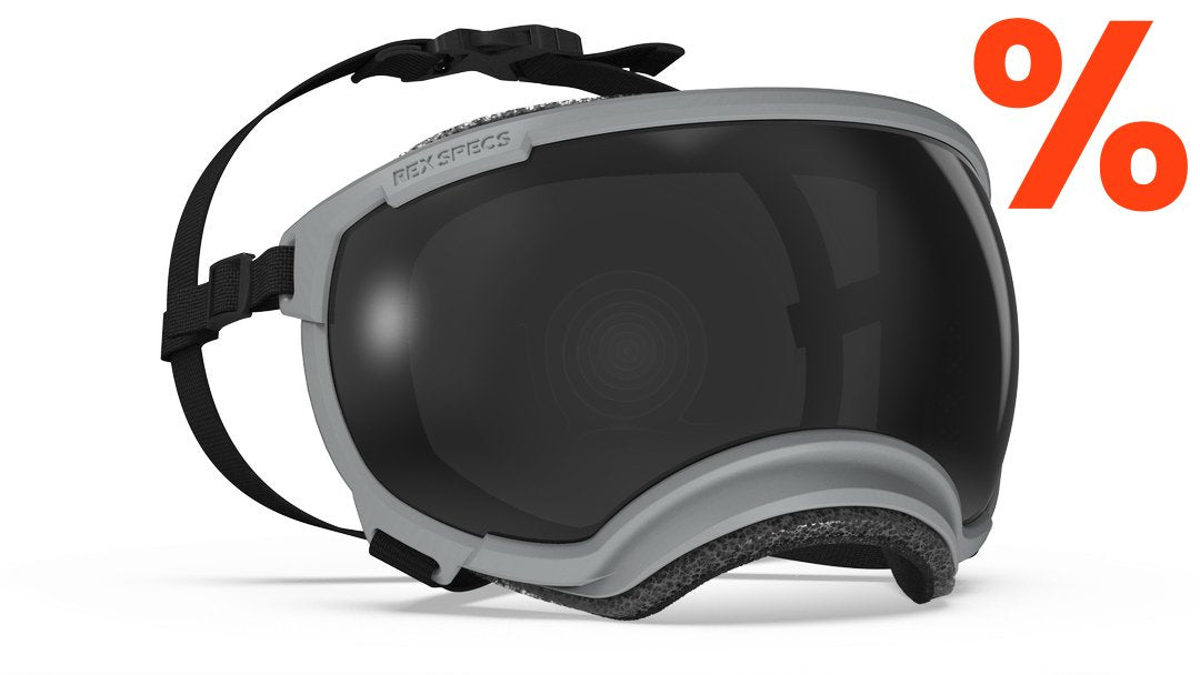 Hundebrille Rex Specs V2 Größe XL