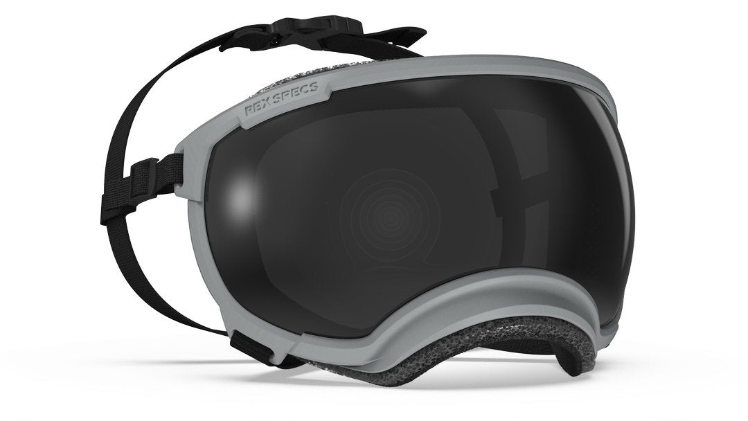 Hundebrille Rex Specs V2 Größe L