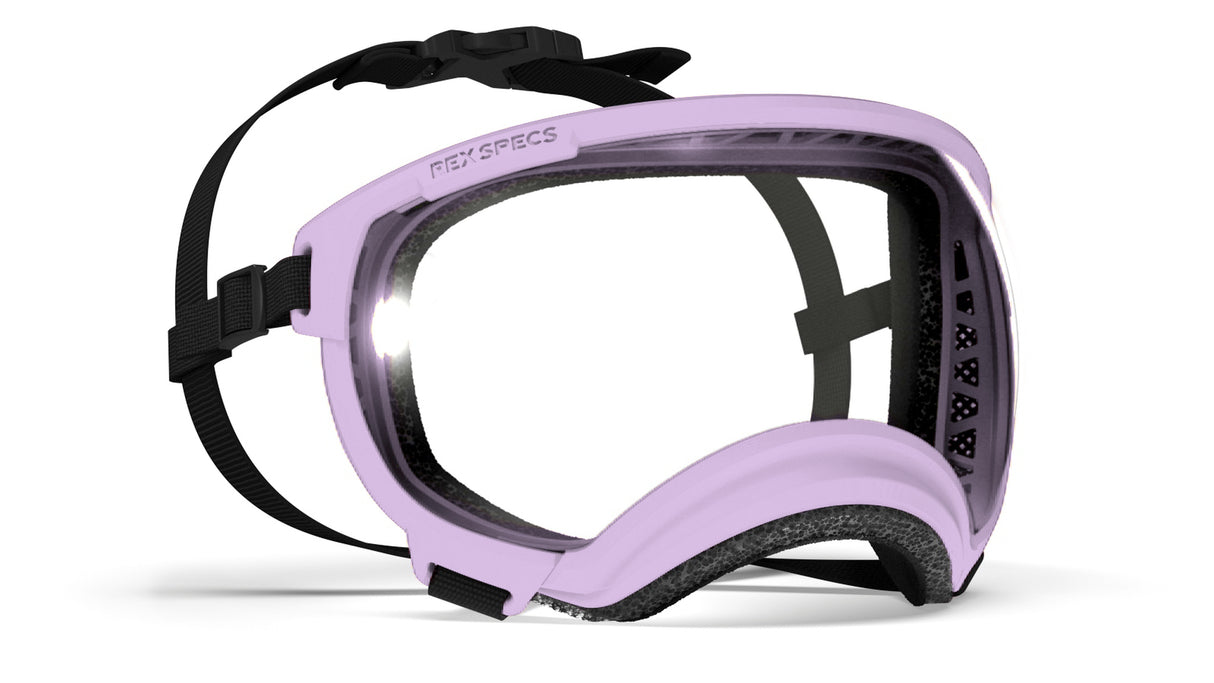 produktfoto rex specs hundebrille in farbe lavendel