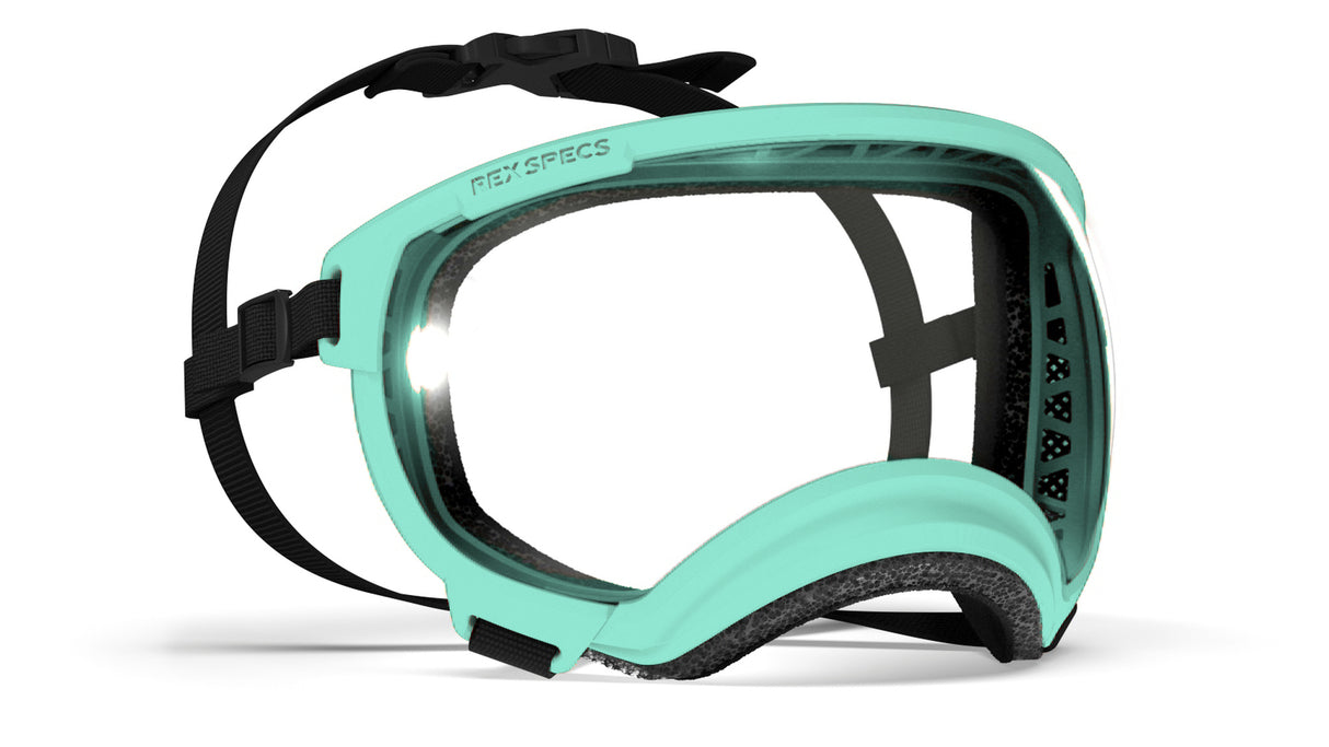 produktfoto rex specs hundebrille in farbe mint