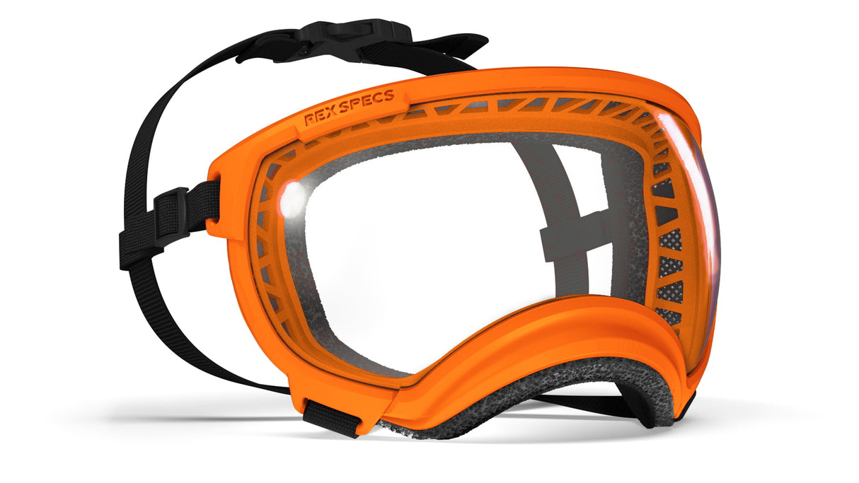 rex specs hundebrille mit klarer scheibe Rahmenfarbe orange