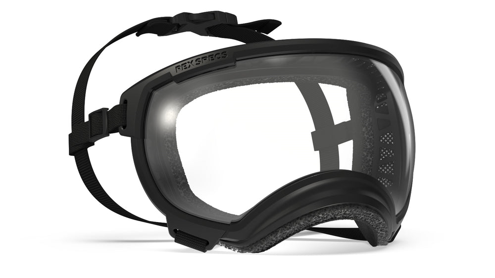 rex specs hundebrille farbe schwarz mit klarer scheibe