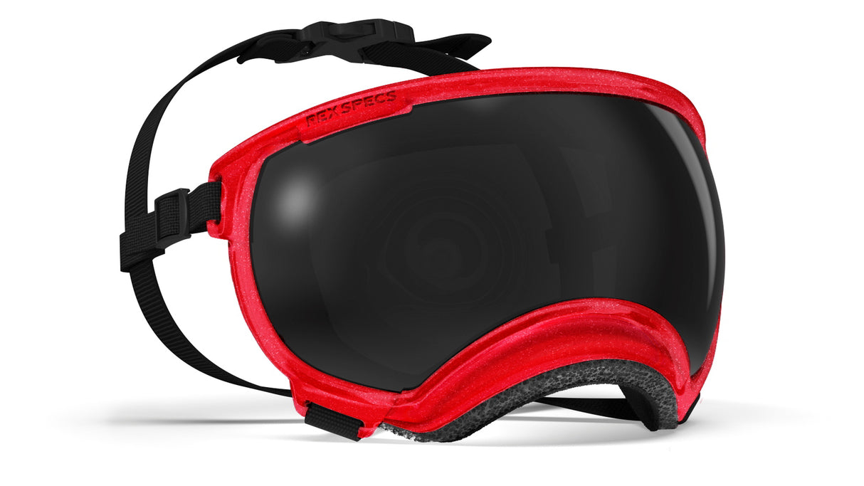 augenschutz für hunde. hundebrille von rex specs