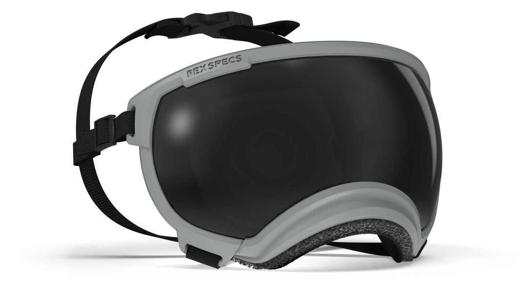 Hundebrille Rex Specs V2 Größe M