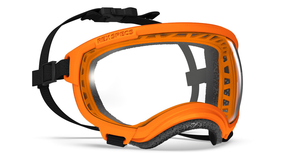 hundebrille rex specs farbe orange größe s