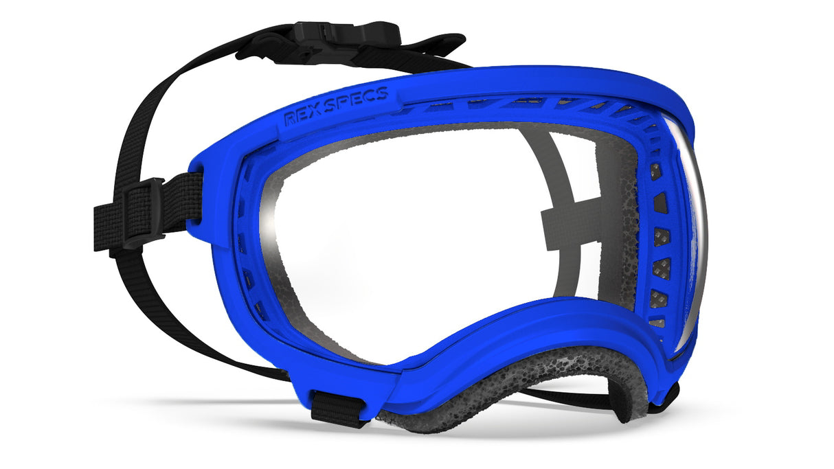 rex specs hundebrille in größe s in farbe balkan blue mit klarer scheibe