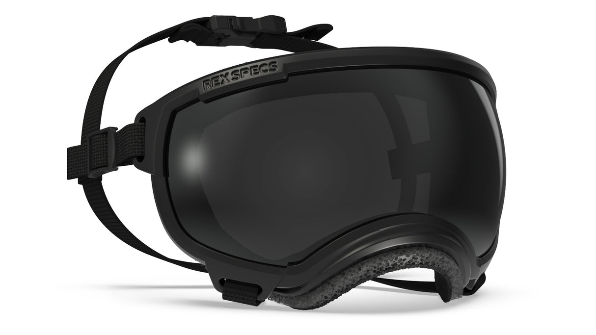 Rex hundebrille größe s farbe schwarz