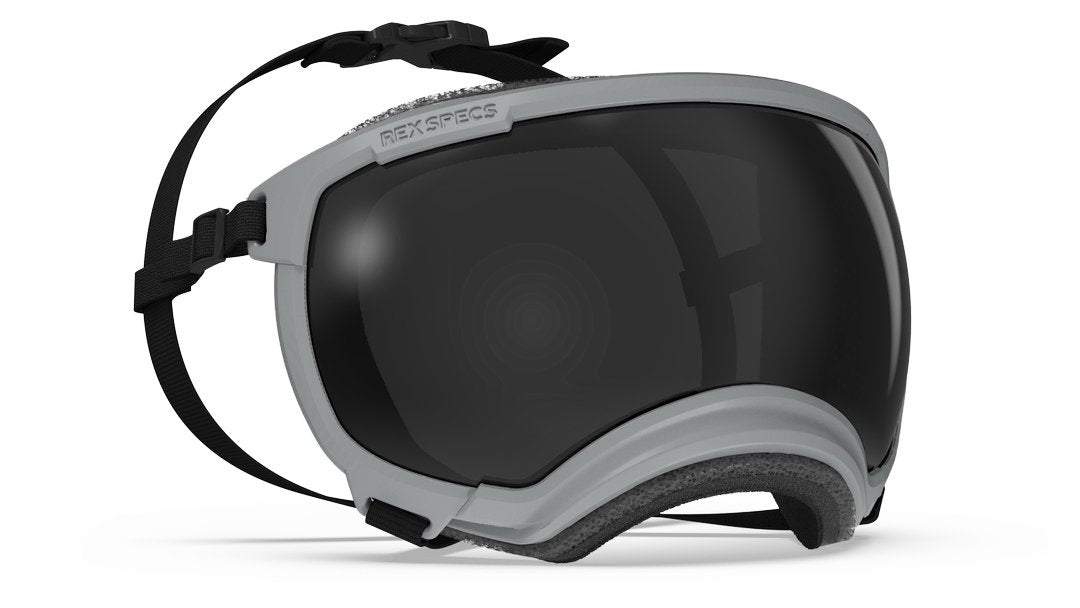Hundebrille Rex Specs V2 Größe XL