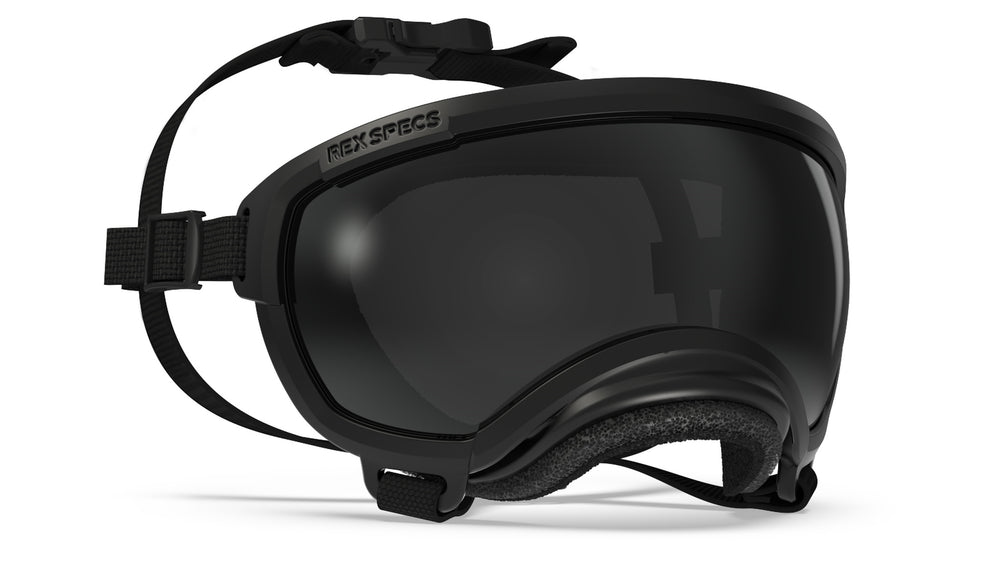 rex specs hundebrille größe xs farbe schwarz