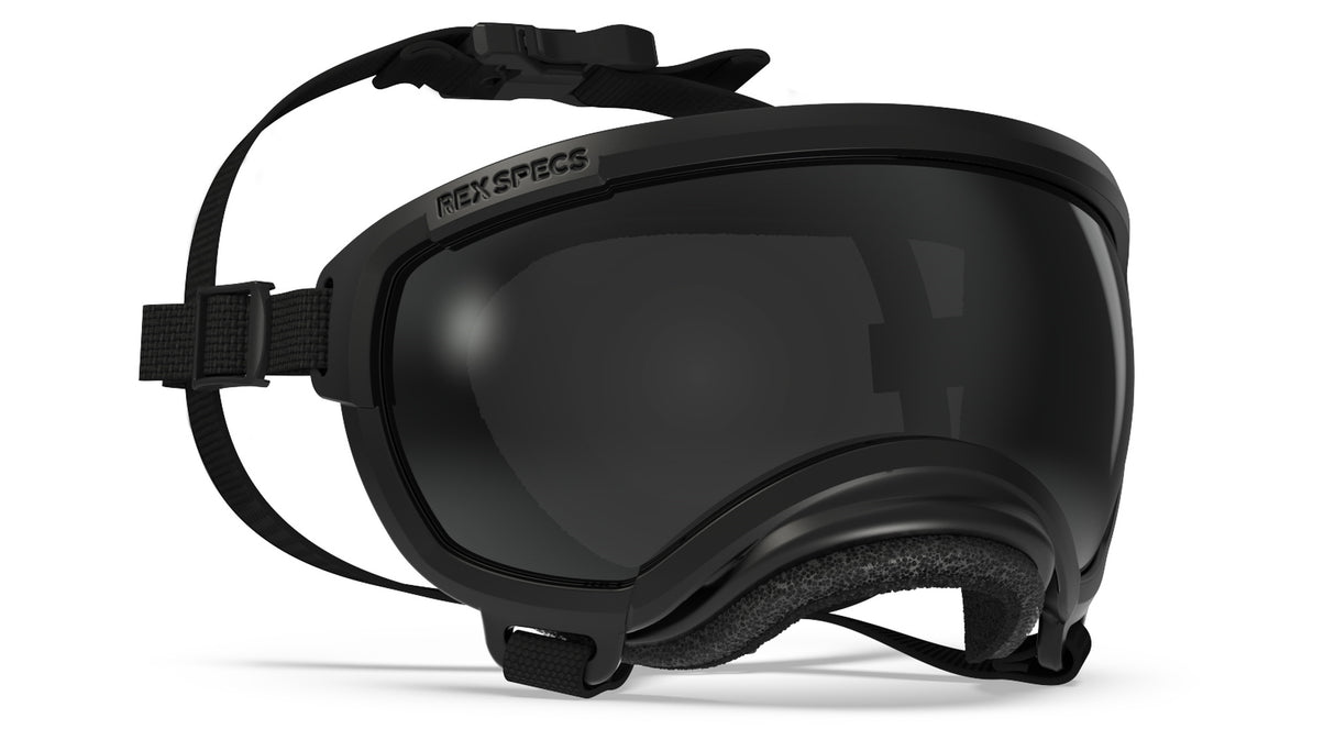 rex specs hundebrille größe xs farbe schwarz