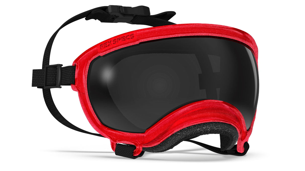 produktfoto rex specs hundebrille in farbe rot