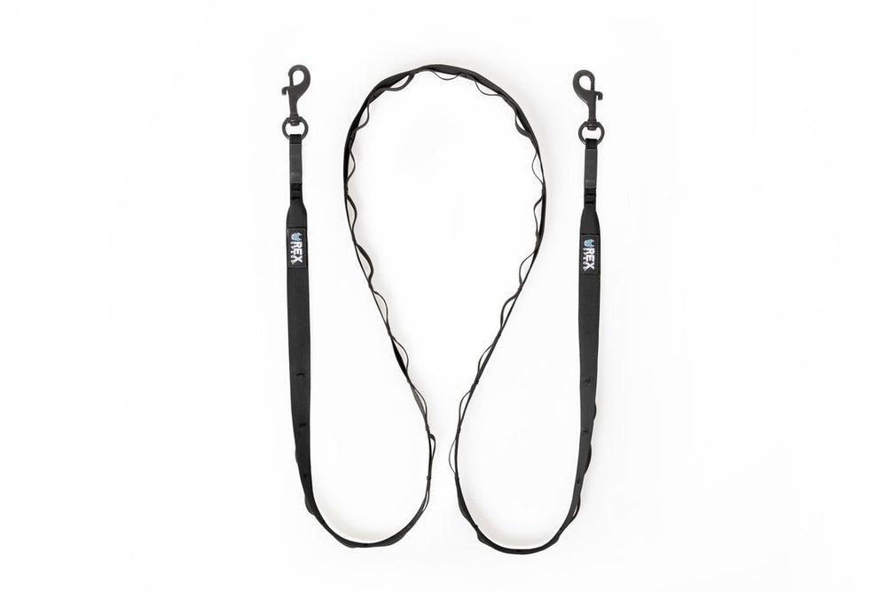 Rex Specs Trailhead Leash Dual Snap