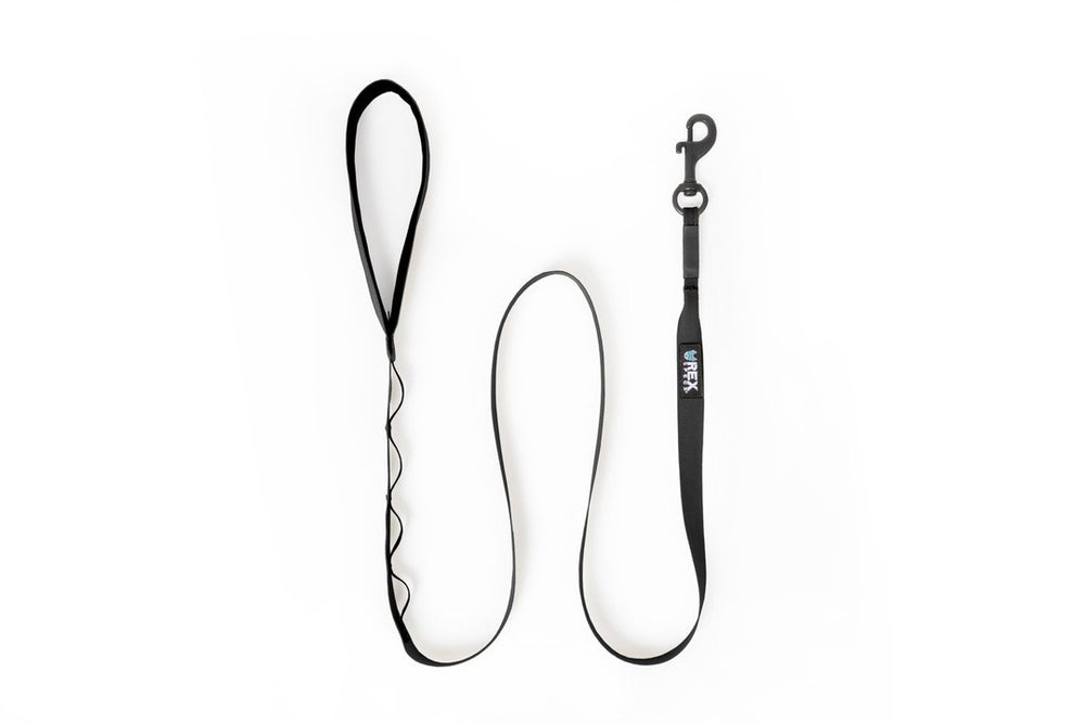 Rex Specs Trailhead Leash Single, vielseitige Hundeleine