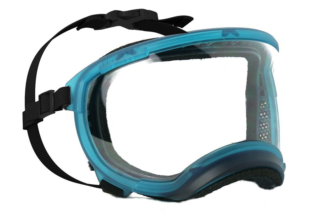 rex specs hundebrille in sonderedtion farbe glacier blue. mit klarer scheibe