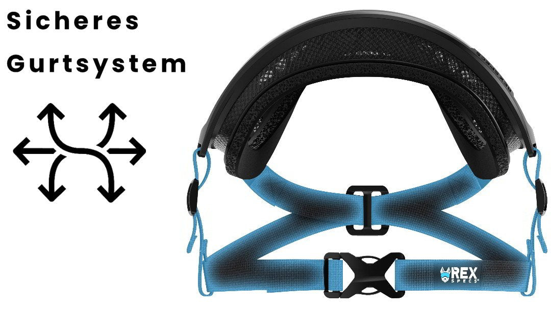 hundebrille rex specs in sicht von oben