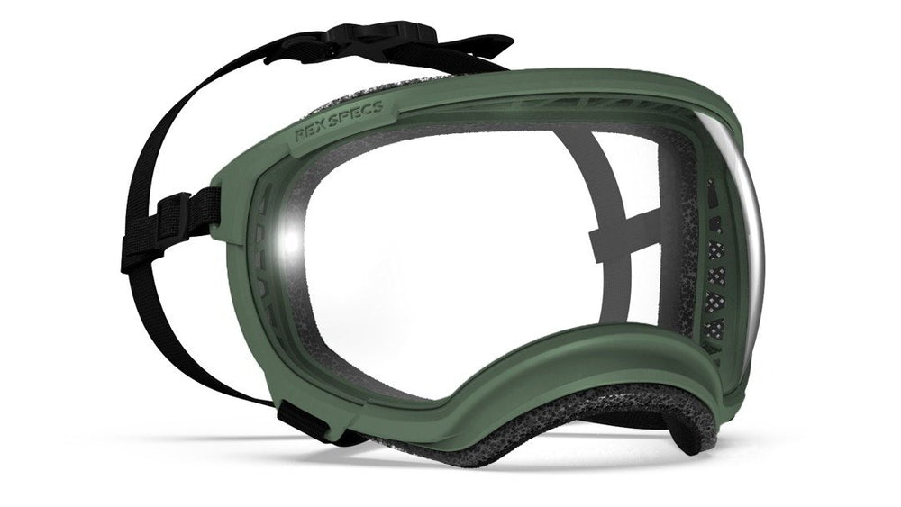 Rex Specs Vorführbrille V2