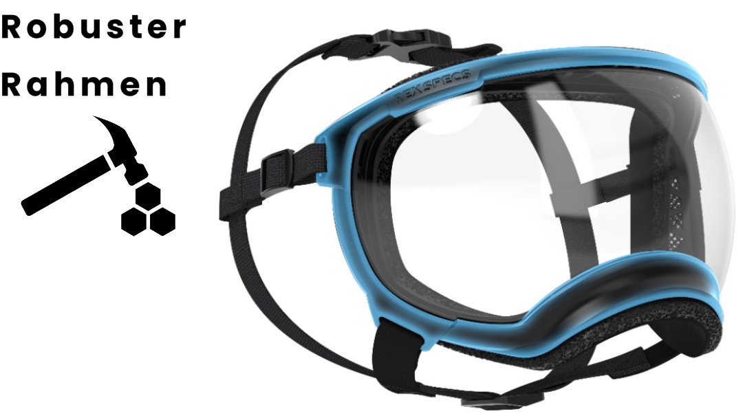 Hundebrille Rex Specs V2 Größe L