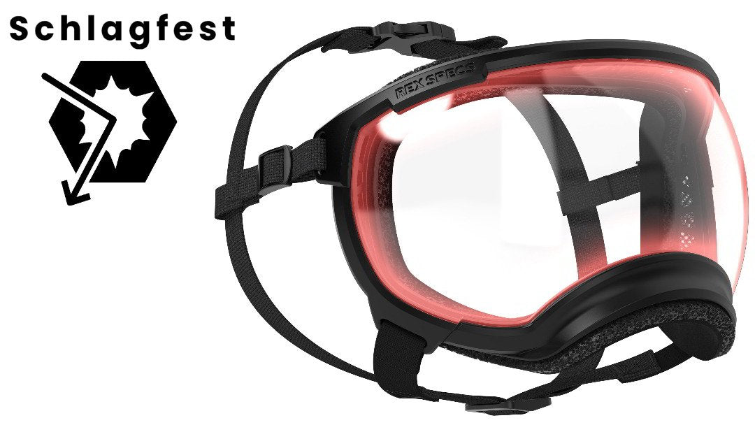 Hundebrille Rex Specs V2 Größe L