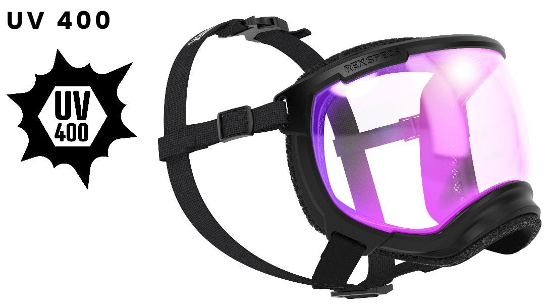 Hundebrille Rex Specs V2 Größe L