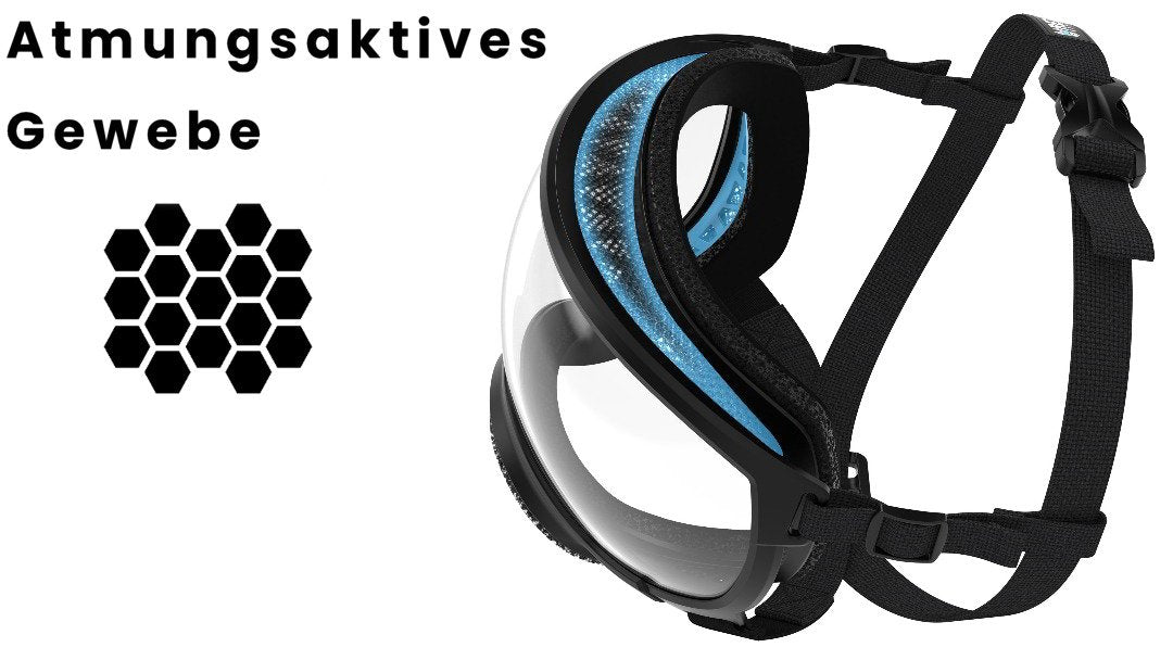 Hundebrille Rex Specs V2 Größe XS