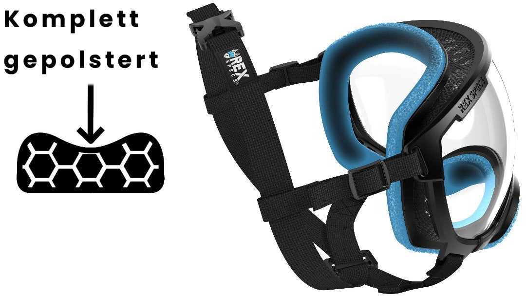 Hundebrille Rex Specs V2 Größe L