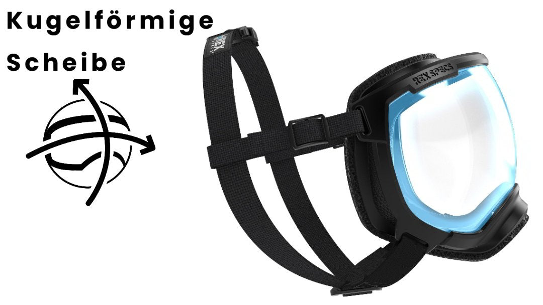 Hundebrille Rex Specs V2 Größe L