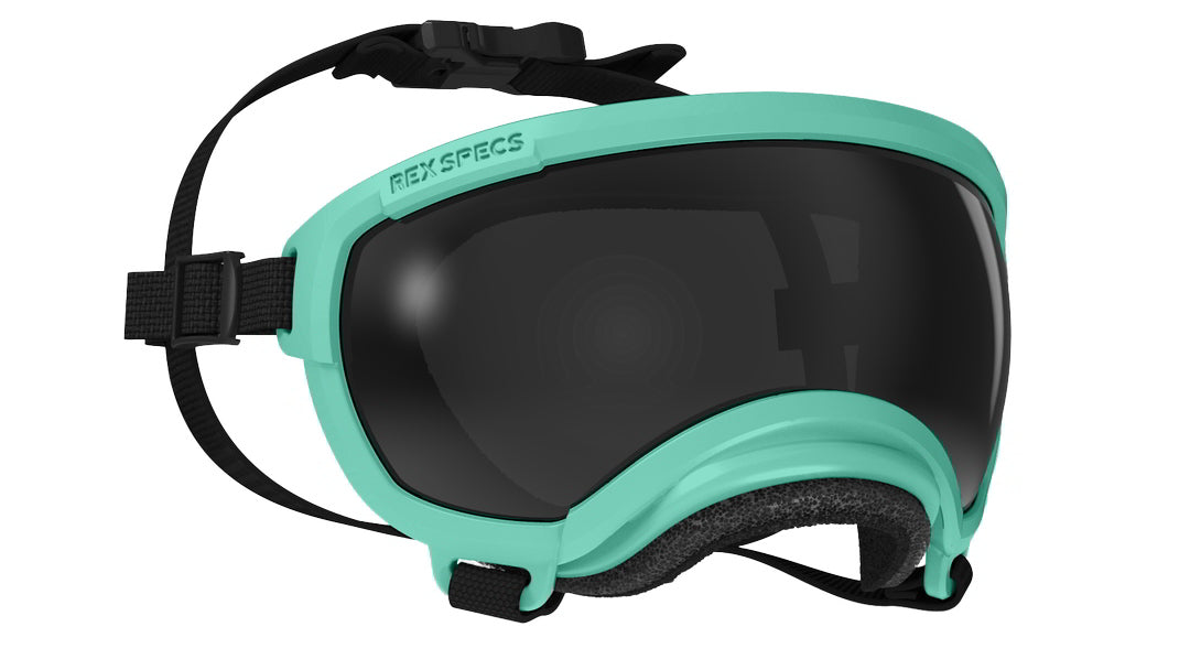 rex specs hundebrille größe xs farbe mint