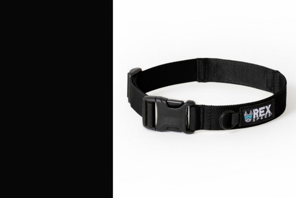 Hundehalsband Trailhead Collar