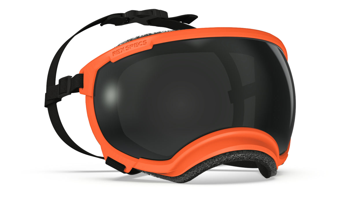 hochweritge hundebrille von rex specs in farbe orange