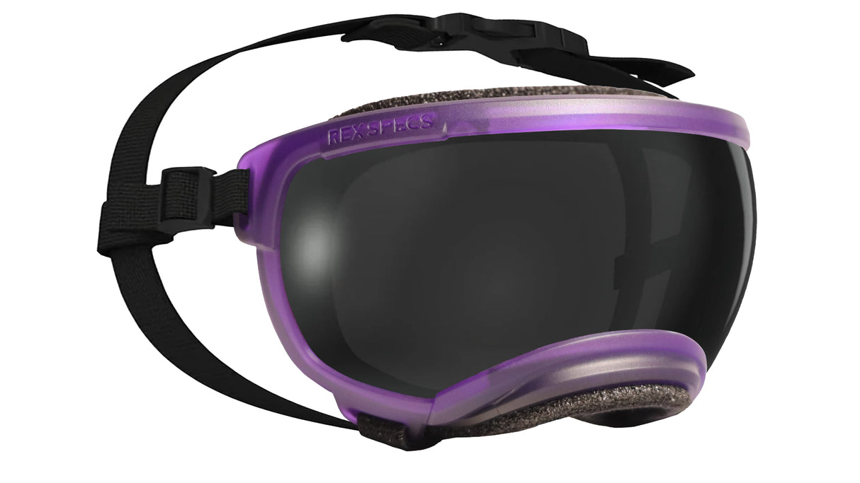 Produktfoto der hundebrille von rex specs farbe lila größe xs