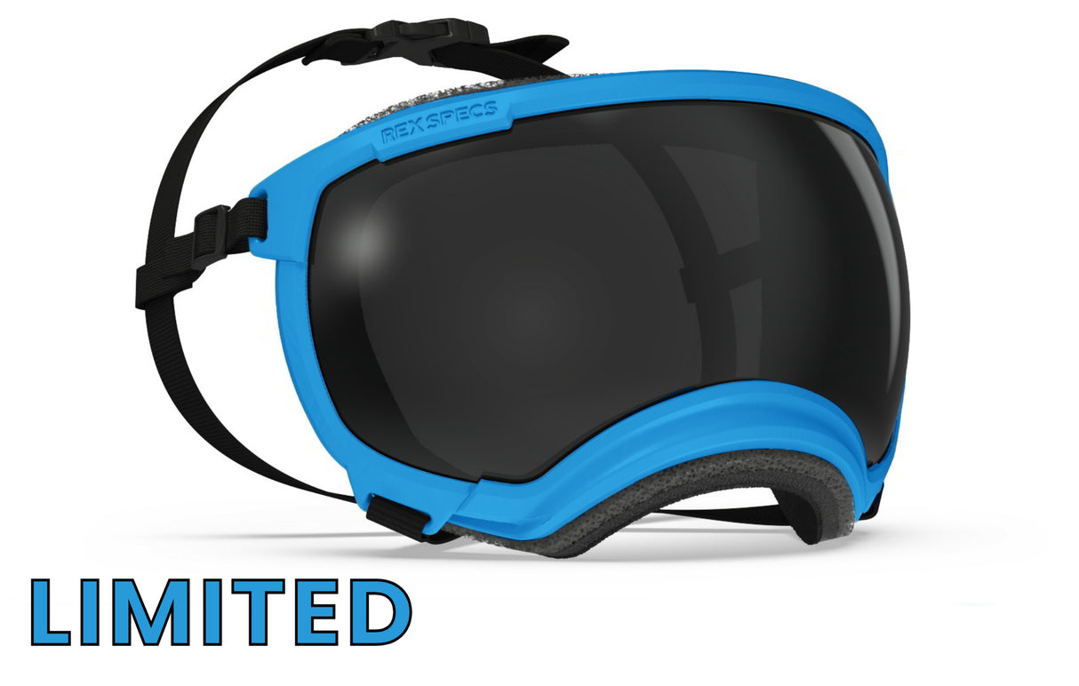 hundebrille von rex specs in limieterter farbe hurricane blue größe l