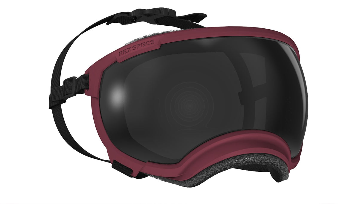 Hundebrille Rex Specs V2 Größe L