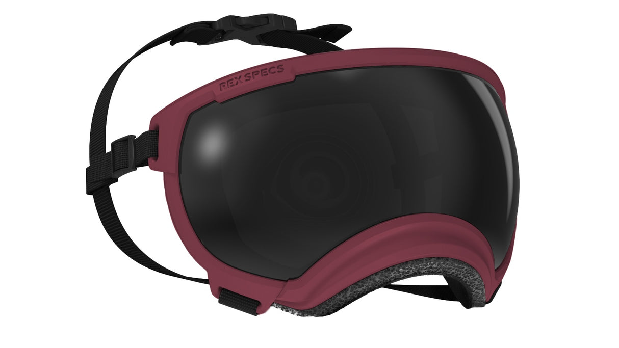 Hundebrille Rex Specs V2 Größe M